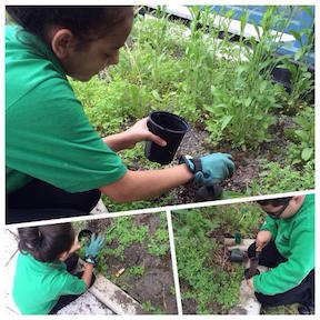 Credit: Sahar Khatri